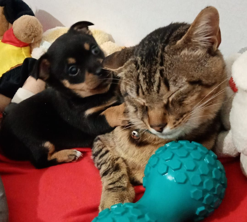 [Img #38720]