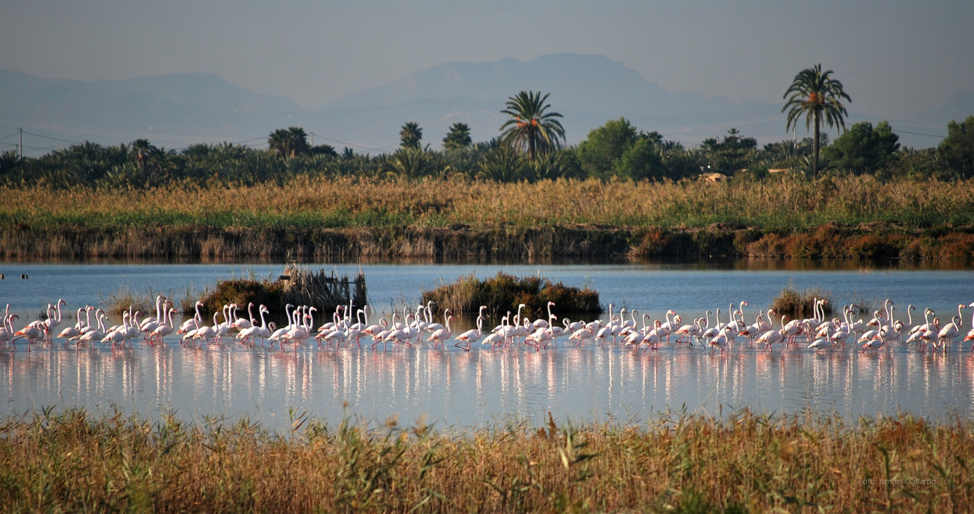 Los parques naturales de la Comunitat Valenciana celebran su diversidad y riqueza en el Día Europeo de los Parques Naturales