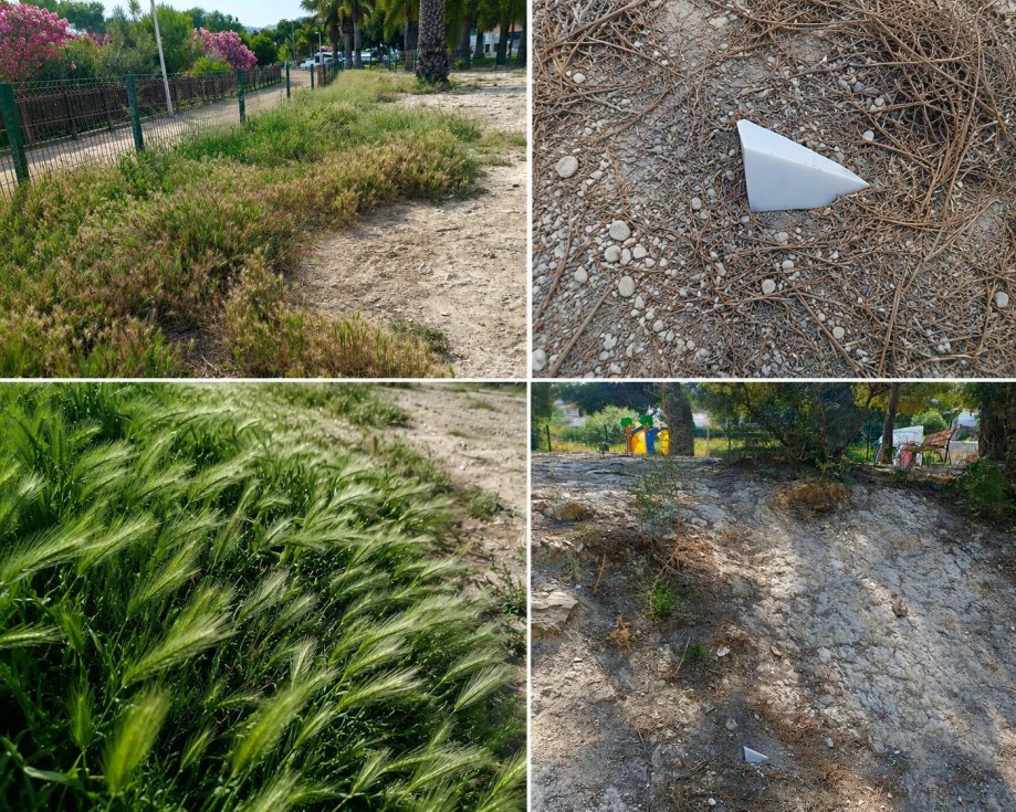 Teulada Moraira suma 752 apoyos para reclamar mejoras en los pipican mientras continúan las denuncias por riesgos para las mascotas