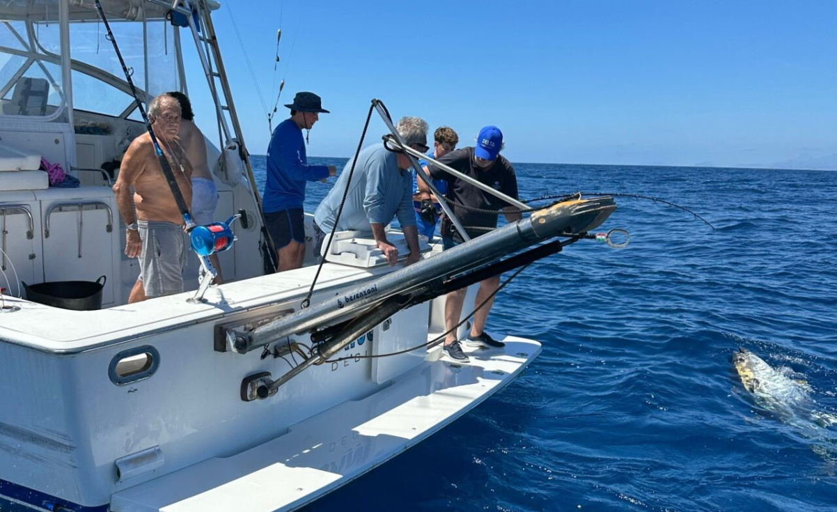 El Club Náutico Moraira cierra una edición de récord de Colosos del Mediterráneo con 28 atunes marcados