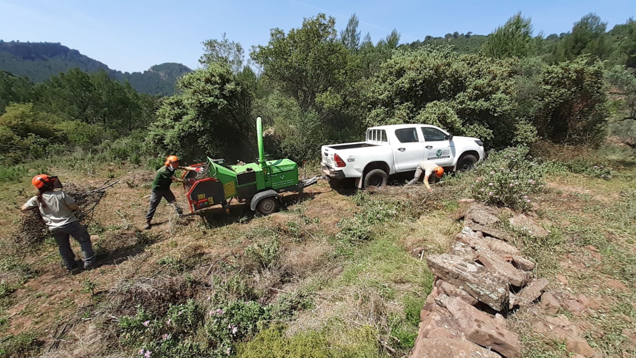 La Generalitat repara más de 4.000 kilómetros de pistas forestales para reforzar la prevención de incendios