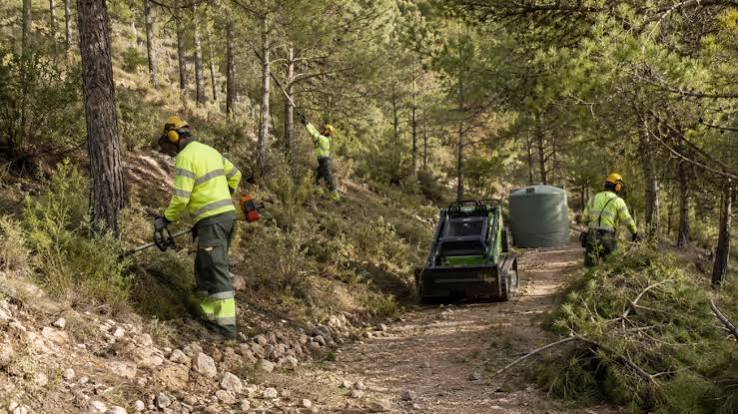 Teulada recibe 60.000 euros para mejorar sus masas forestales y favorecer la biodiversidad
