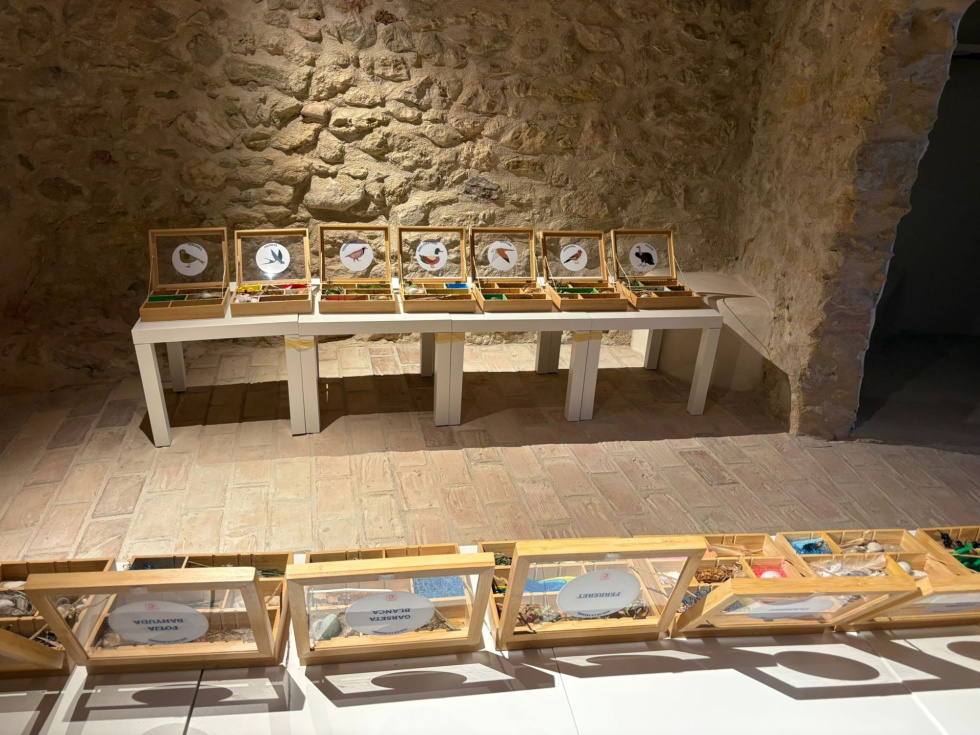 L’Atzúbia acerca la riqueza ornitológica de la Marina Alta con la exposición itinerante ‘Aus de la Marina Alta’