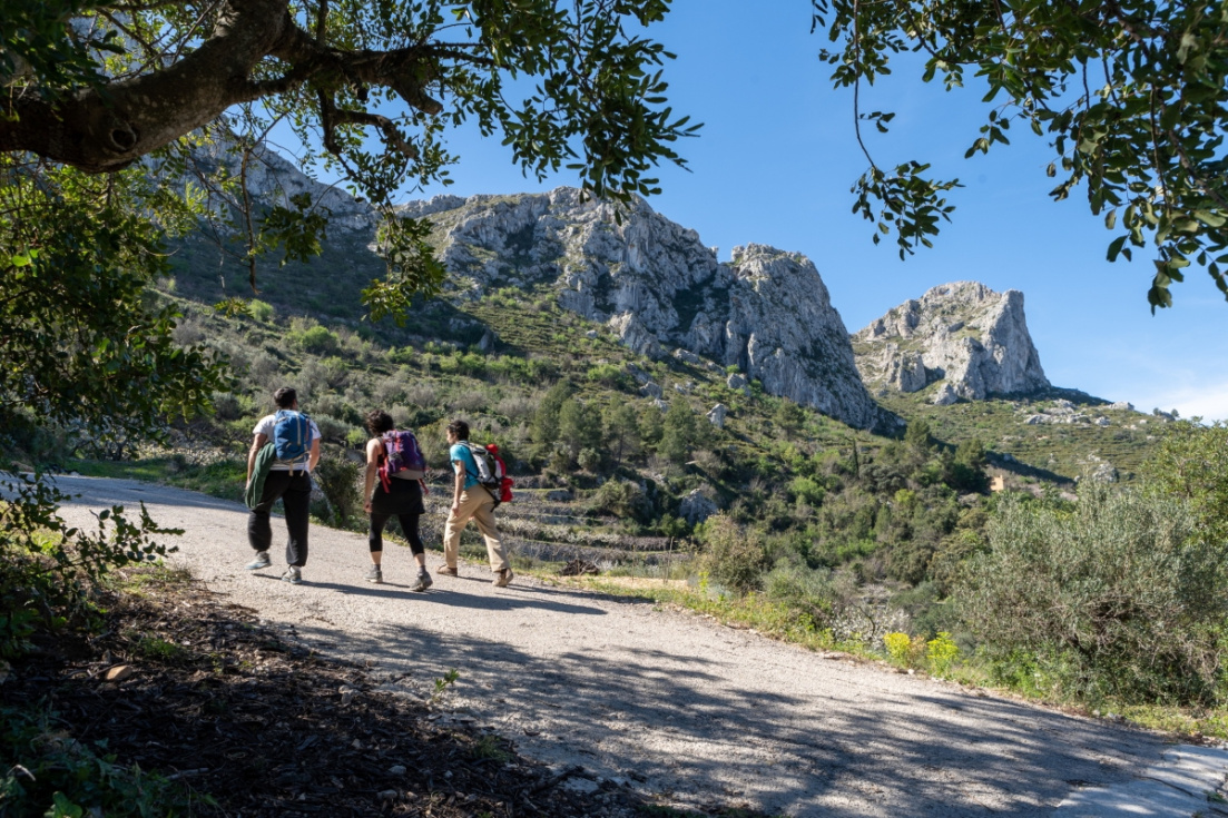 La programaci&oacute;n de oto&ntilde;o incluye rutas por diferentes municipios de Pego i les Valls.