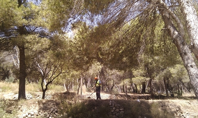 [Img #13497]