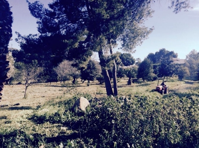 [Img #25066]