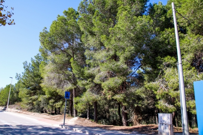 Pinaret de la Costa en Teulada