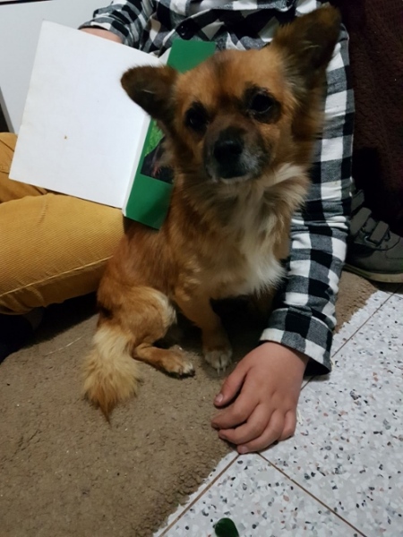 [Img #29260]